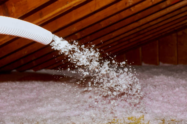 Best Energy Efficiency Solutions in Manchester, VA